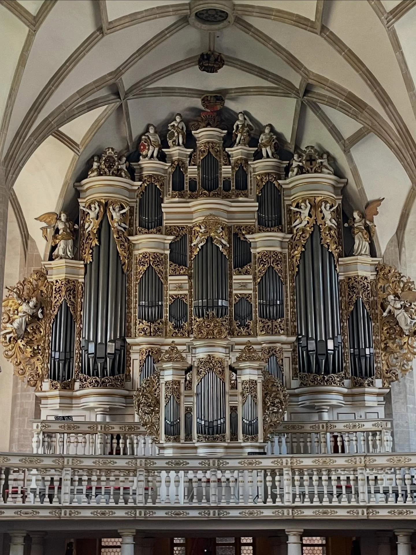 Such a surreally beautiful summer weekend in Merseburg, celebrating old walls, Bach and Shostakovich. 💙
#bach #schostakowitsch #viola #piano #violasonata #shostakovich #duo #solo #chambermusic #merseburg #summer #sun