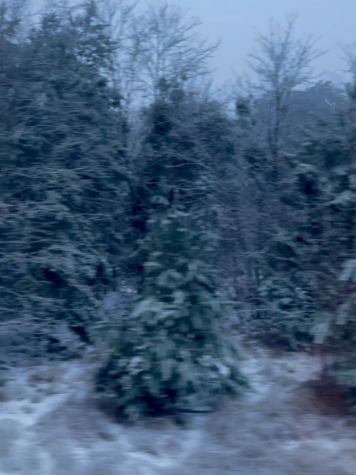 Januar-Impressionen, wilde Auswahl 
I Weites Wunderland 
II Unterrichtstag
III Dankesblumen zur Bachelor-Pr&uuml;fung
IV Stillleben
V Morgenstimmung
VI Spreequell
VII Geisterfabrik
VIII Willkommen 2026
IX Weites Wunderland mit K&uuml;hen