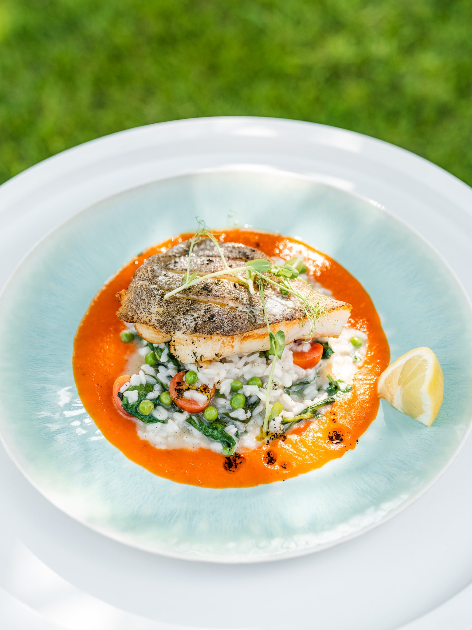 halibut na risotto
