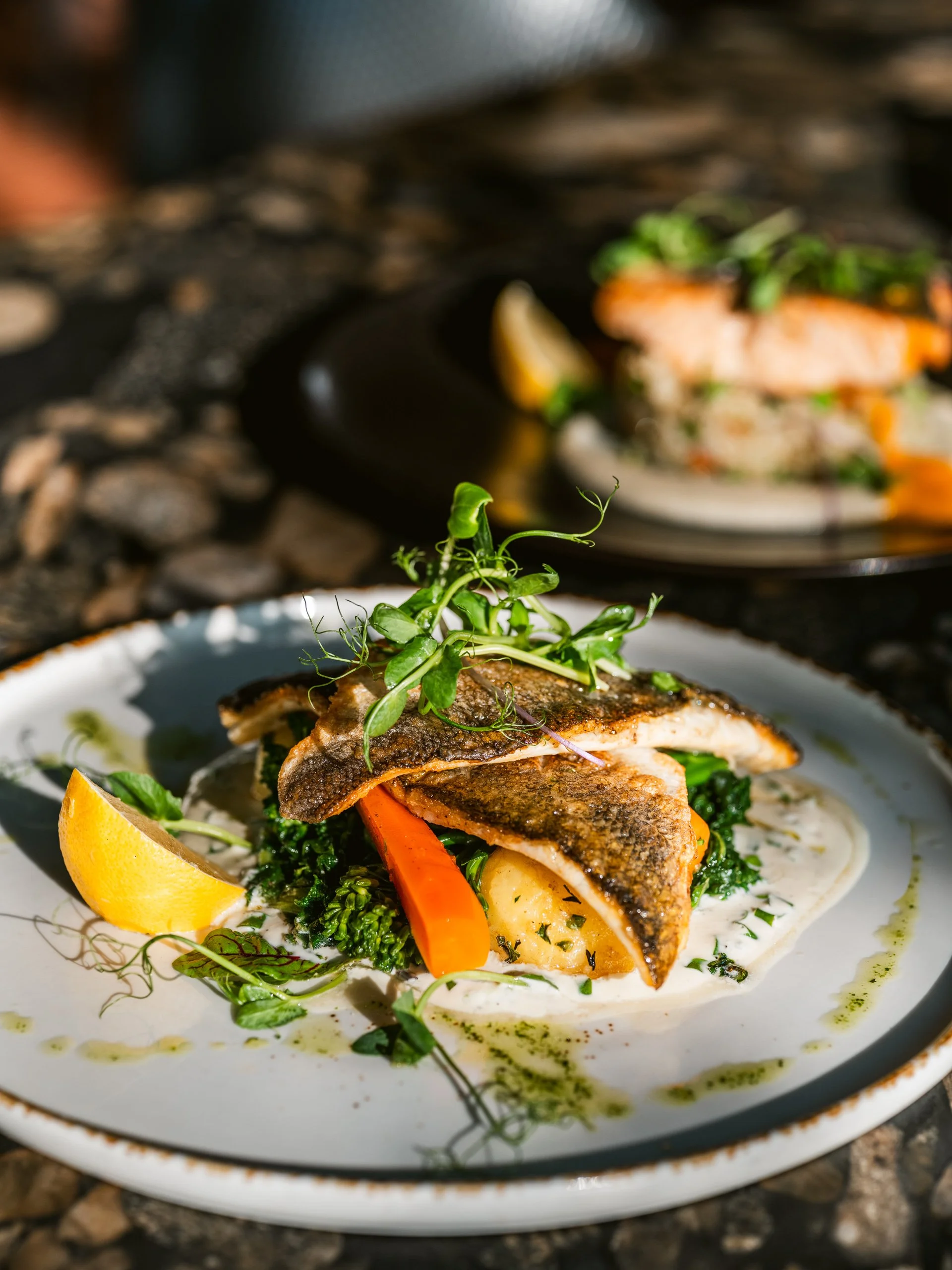 filet okonia morskiego