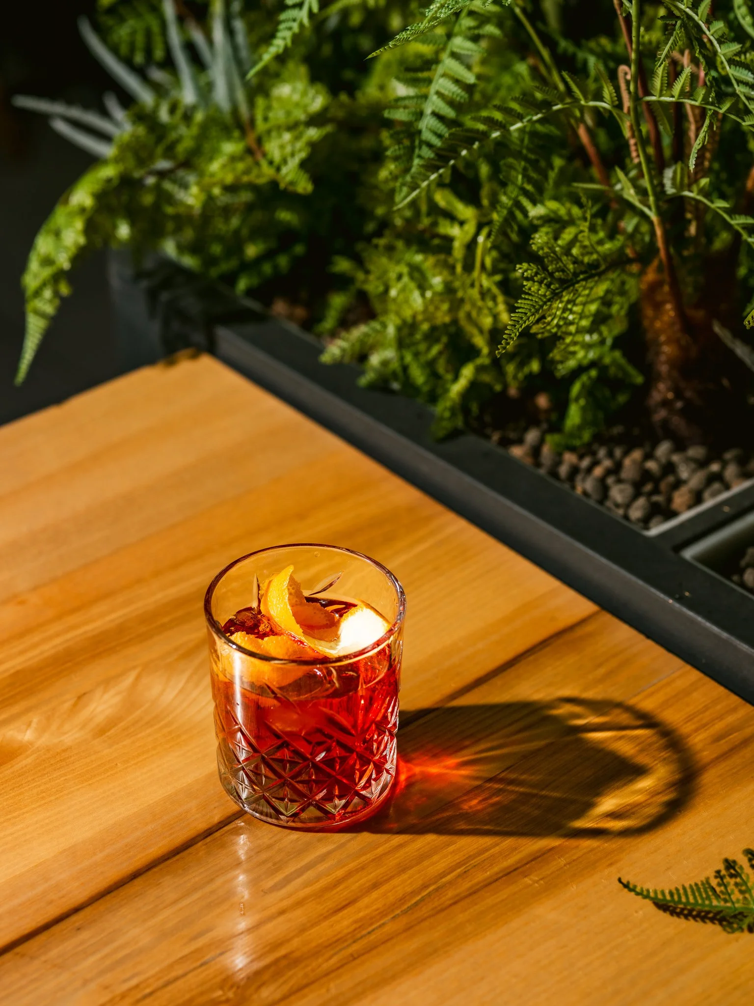 negroni