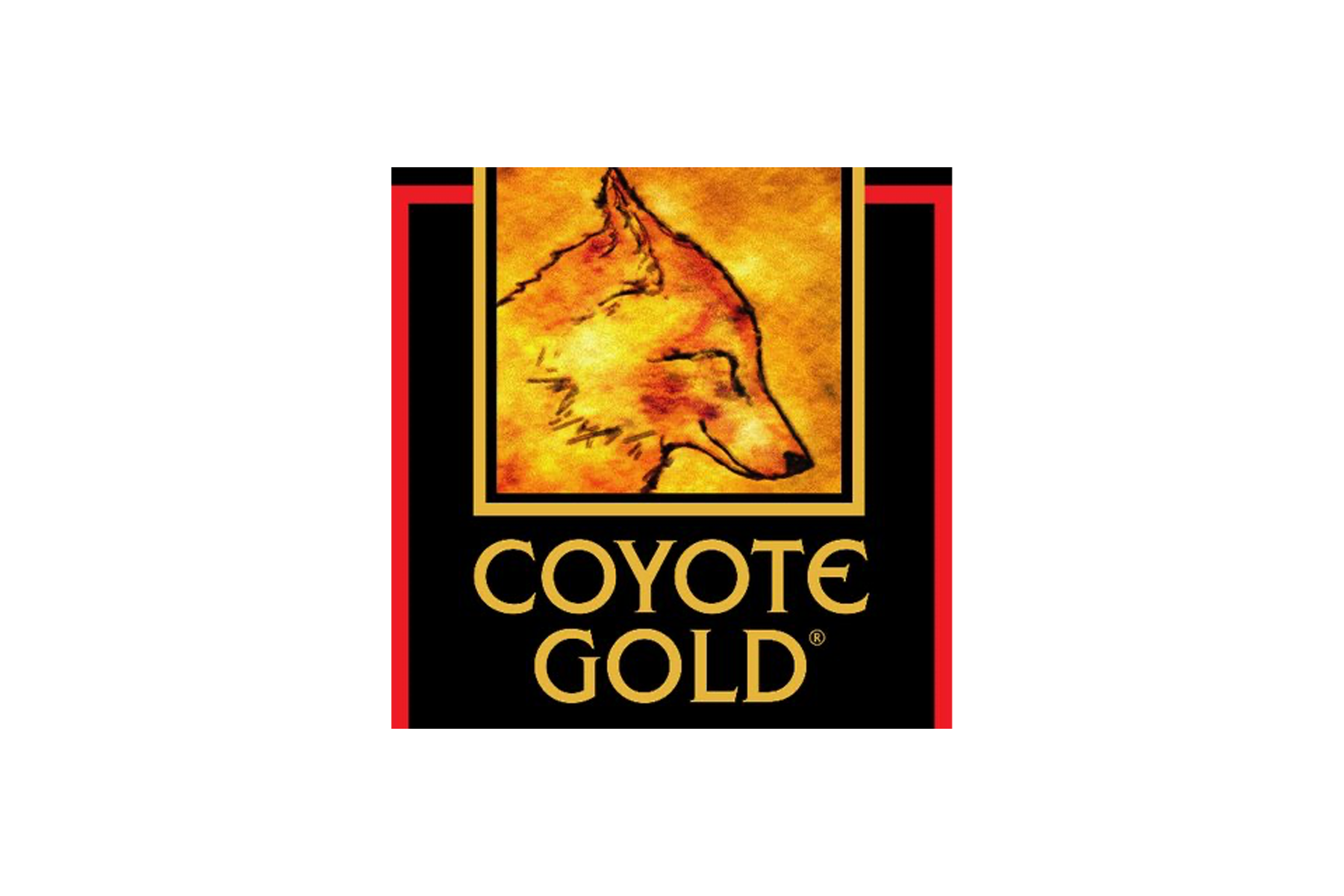 Coyote Gold