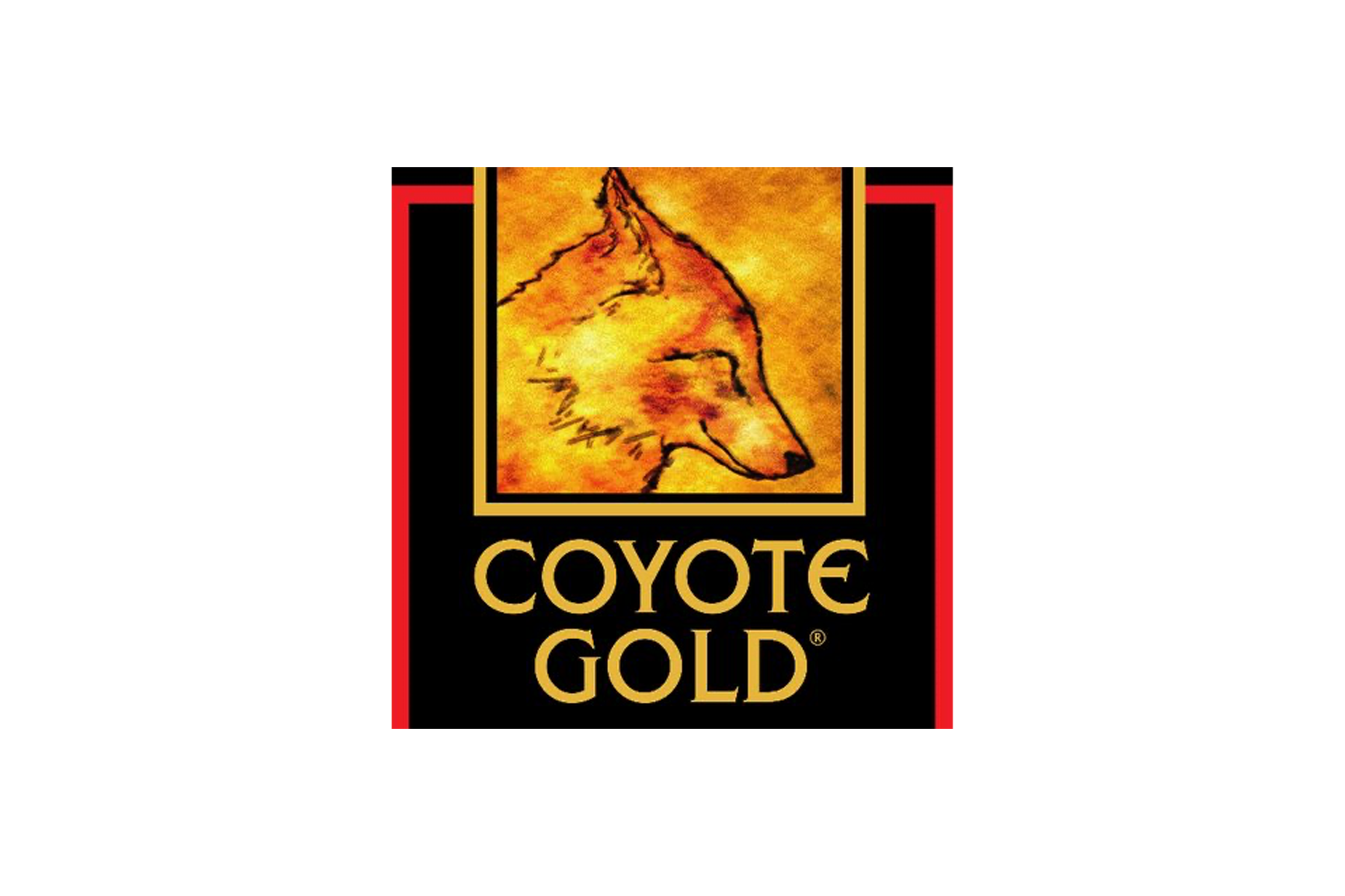 Coyote Gold