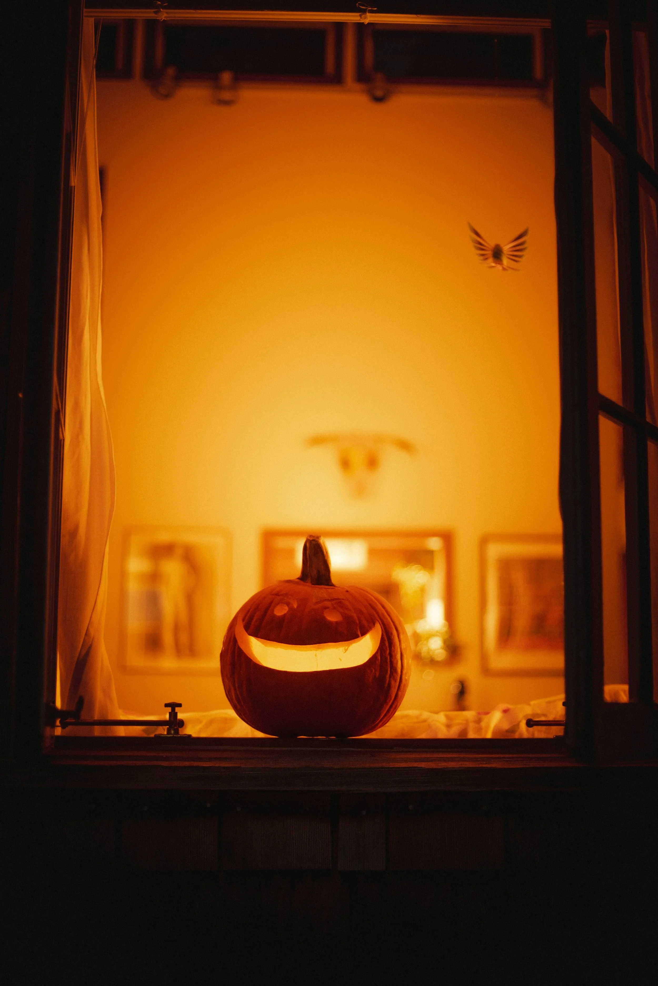 HERFSTVAKANTIE OPEN
