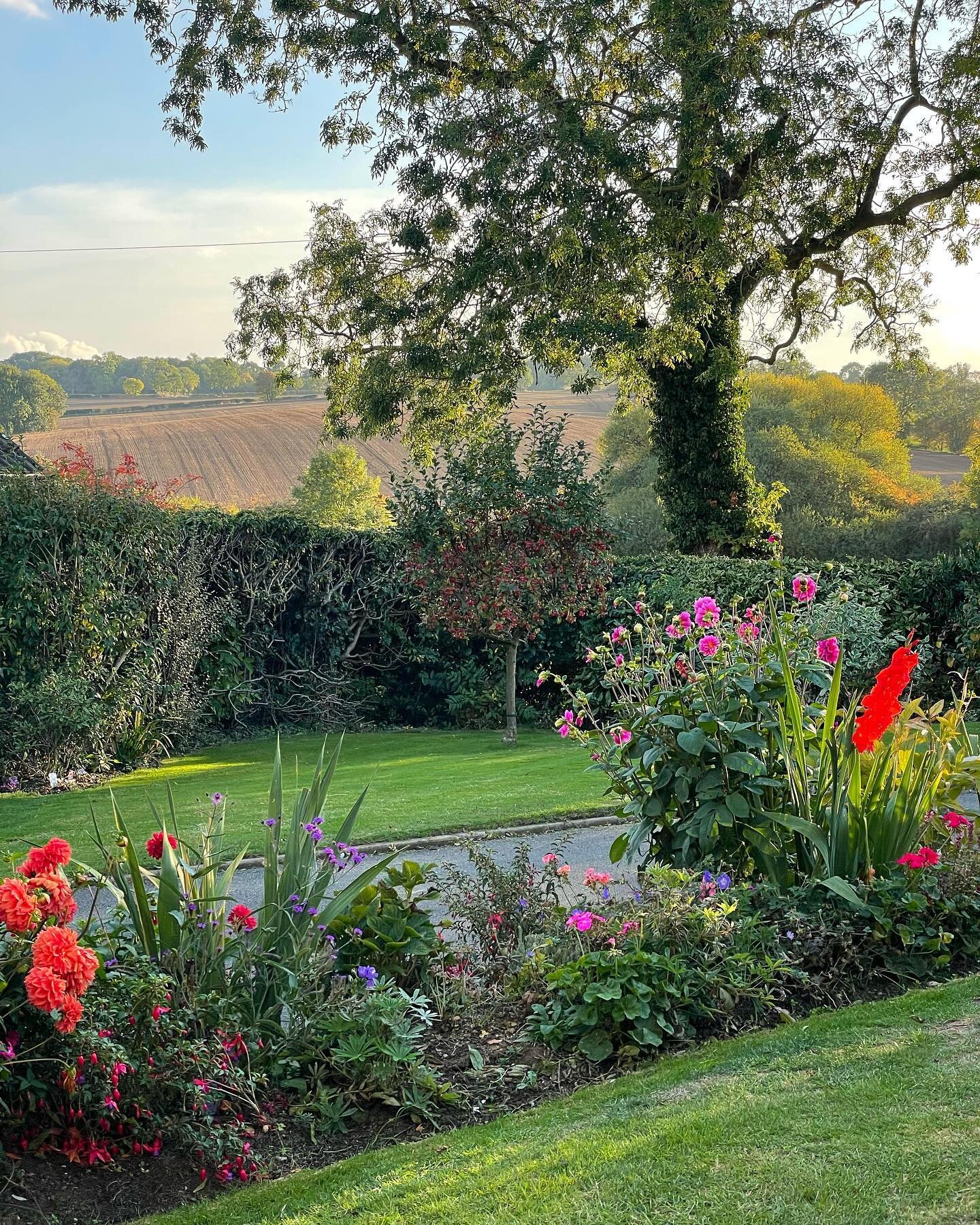 Still plenty of colour in the garden