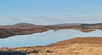 He Shall Lift You Up