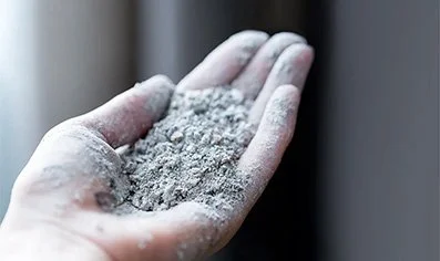 We Are Dust