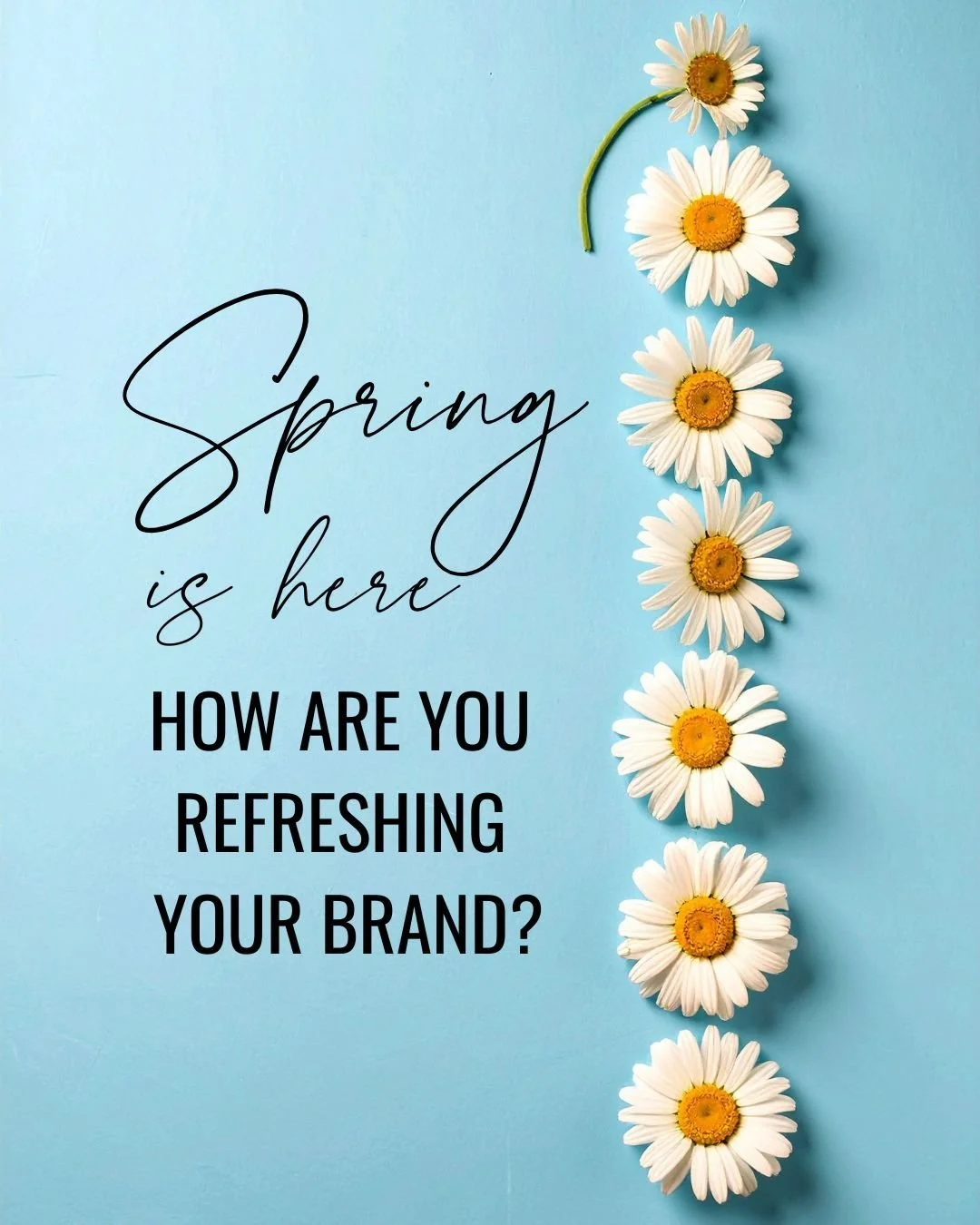 Spring🌼is the perfect time to refresh your brand and marketing strategy and realign with your business goals.🎯

Whether it's revisiting your brand messaging, exploring new revenue streams, or simply reconnecting with your community. It's the small,