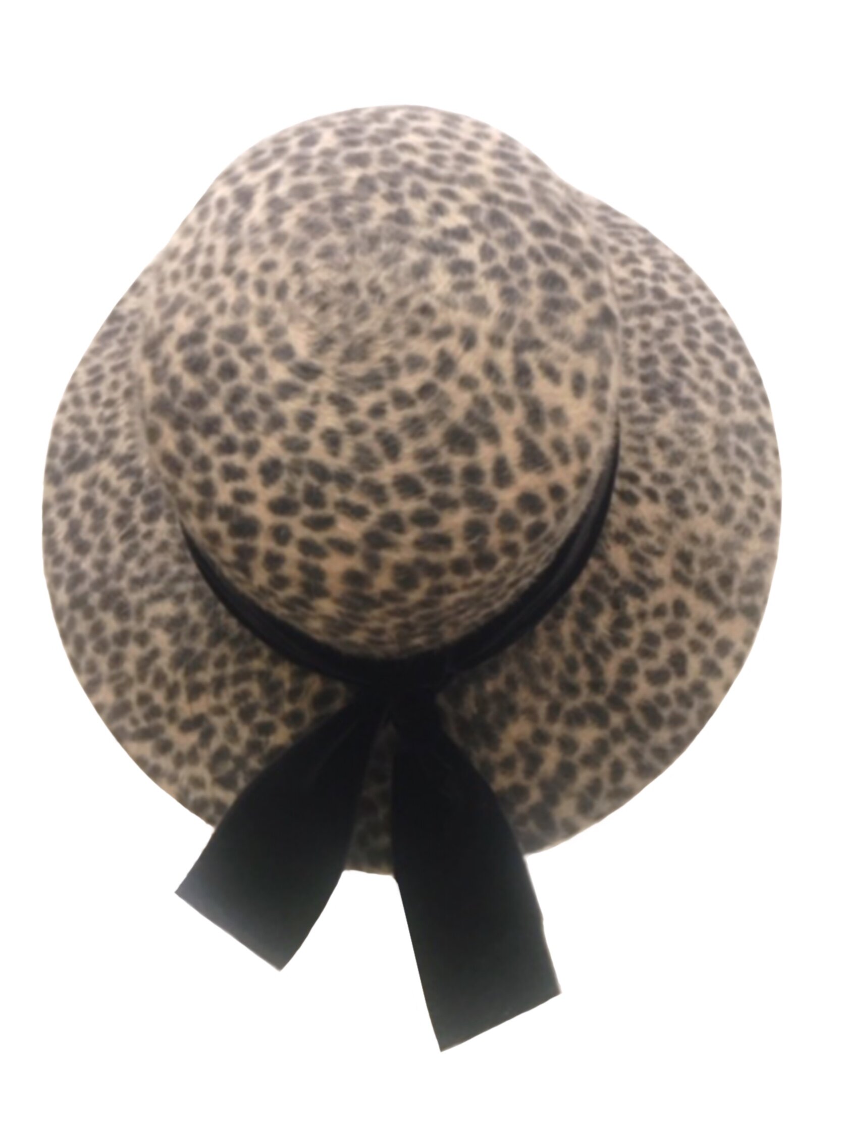 Ellen CheetahPrint TopView.jpg