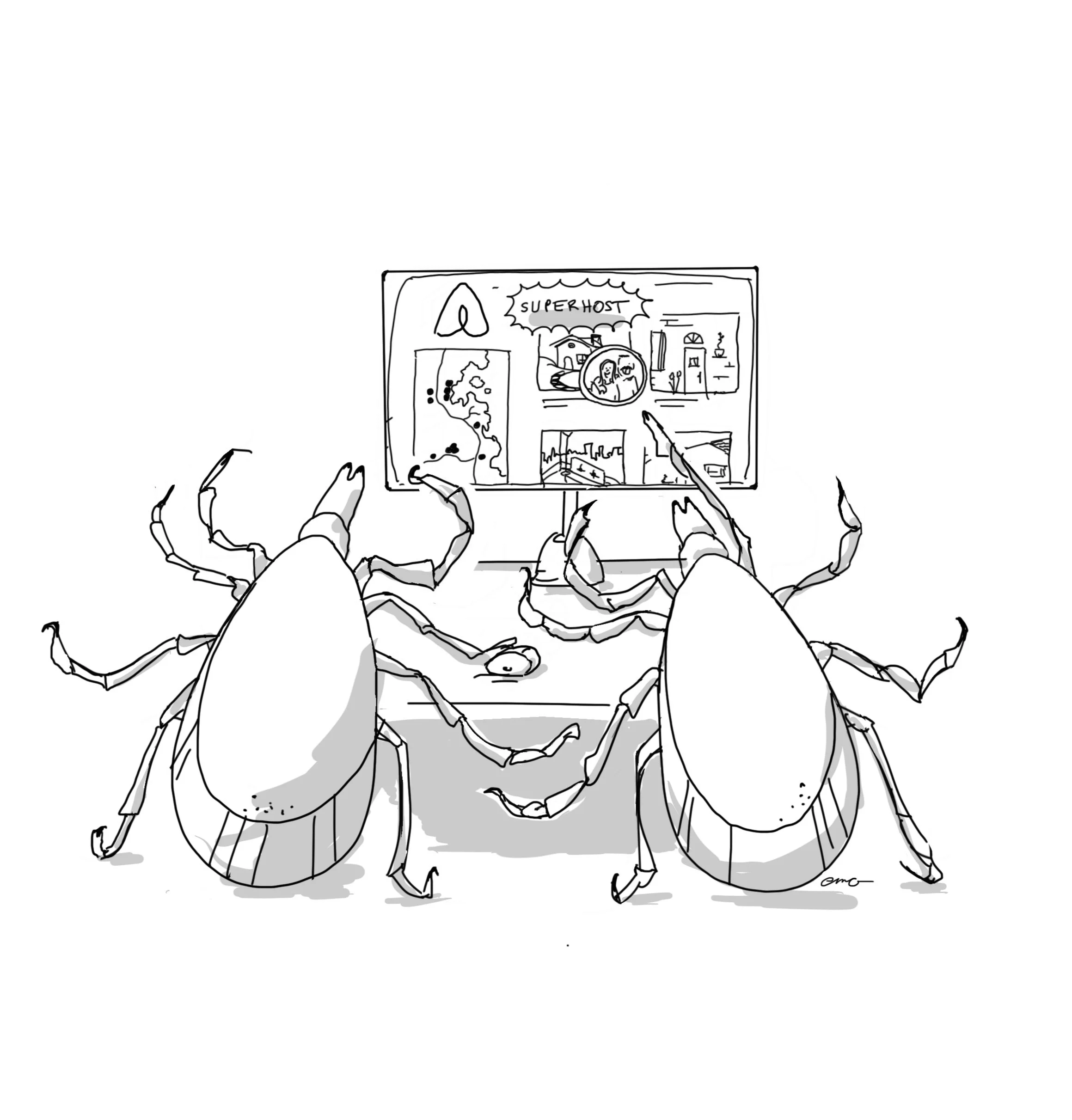 Ticks.jpg