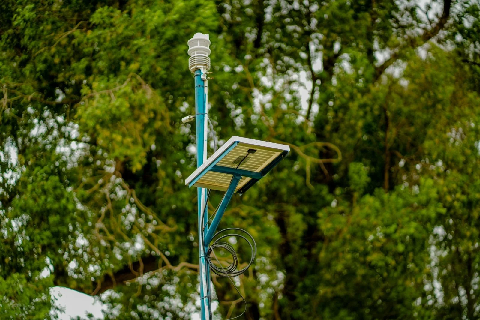 WhatsApp Image 2025-07-20 at 22.46.35.jpeg