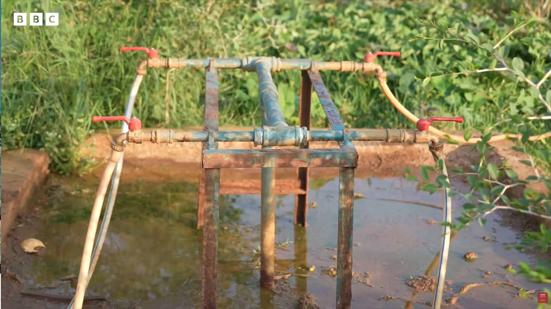 Screenshot 2026-04-29 at 4.33.57 PM.png