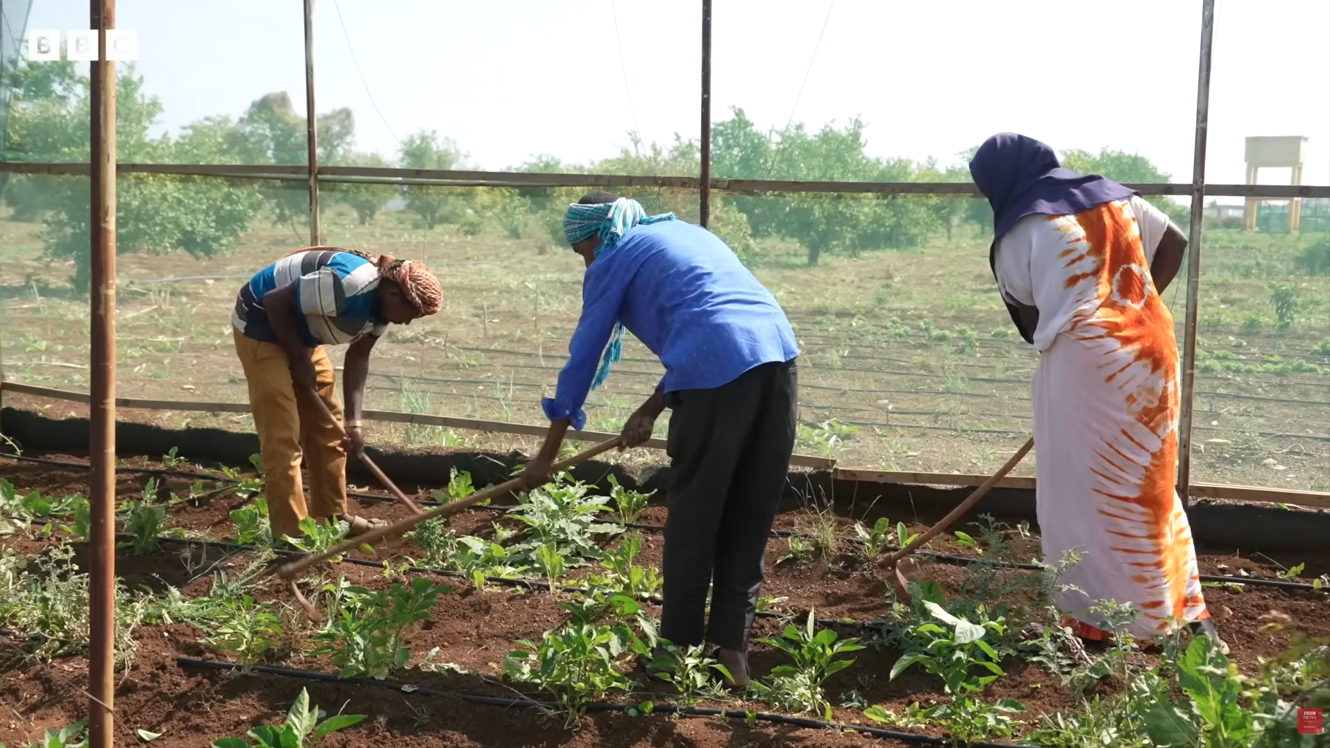 Screenshot 2026-04-29 at 4.35.07 PM.png