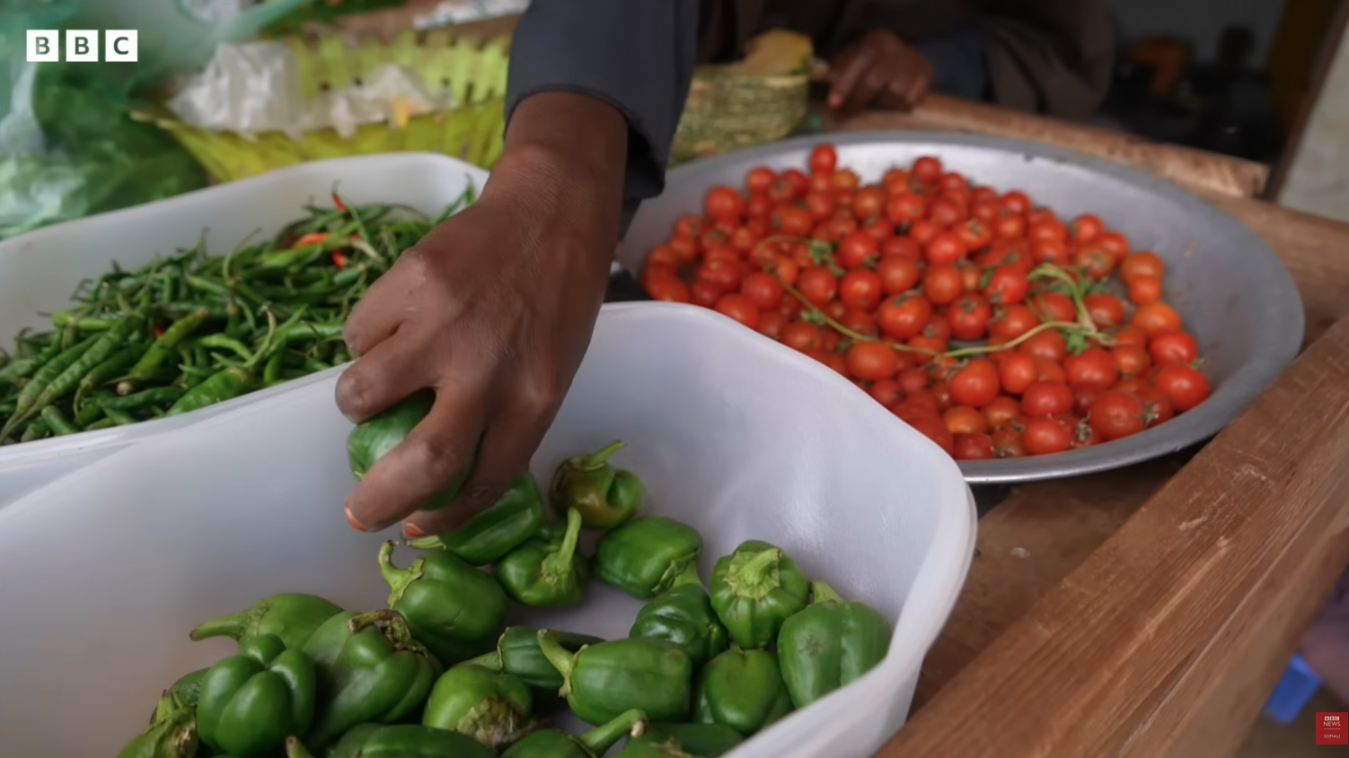 Screenshot 2026-04-29 at 4.35.53 PM.png