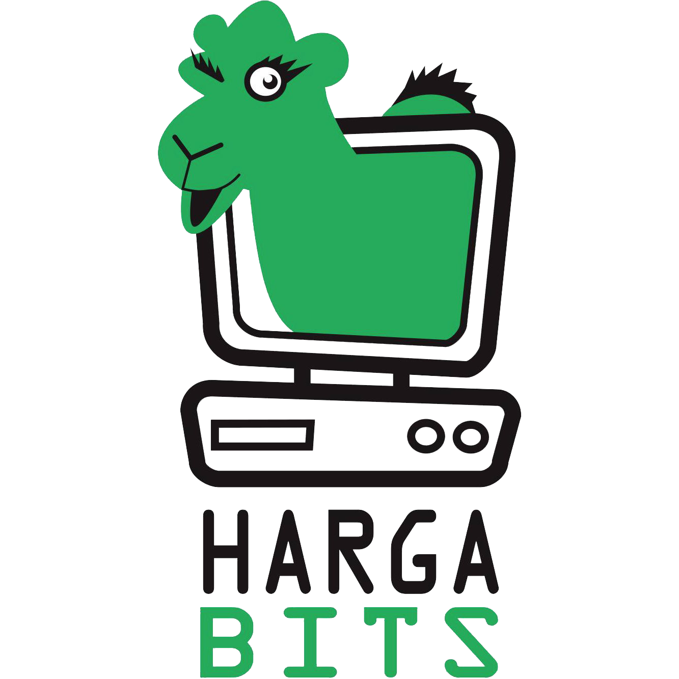 Bits Design Schools in the Somali Region — Shaqodoon Organization