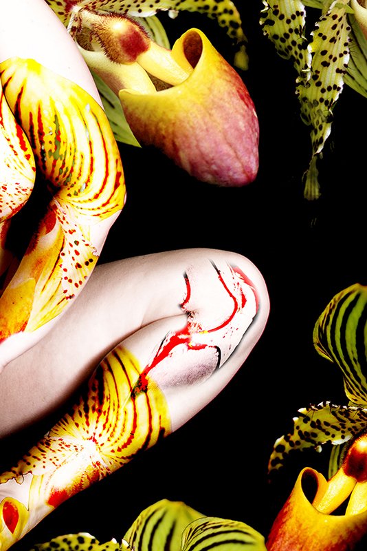 Skin Deep 6