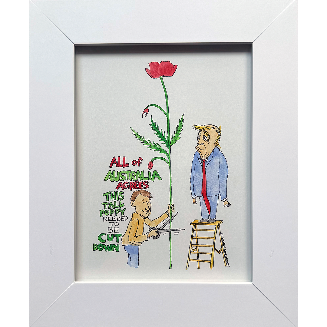 Kandy-Lippincott_Australia-Tall-Poppy.png