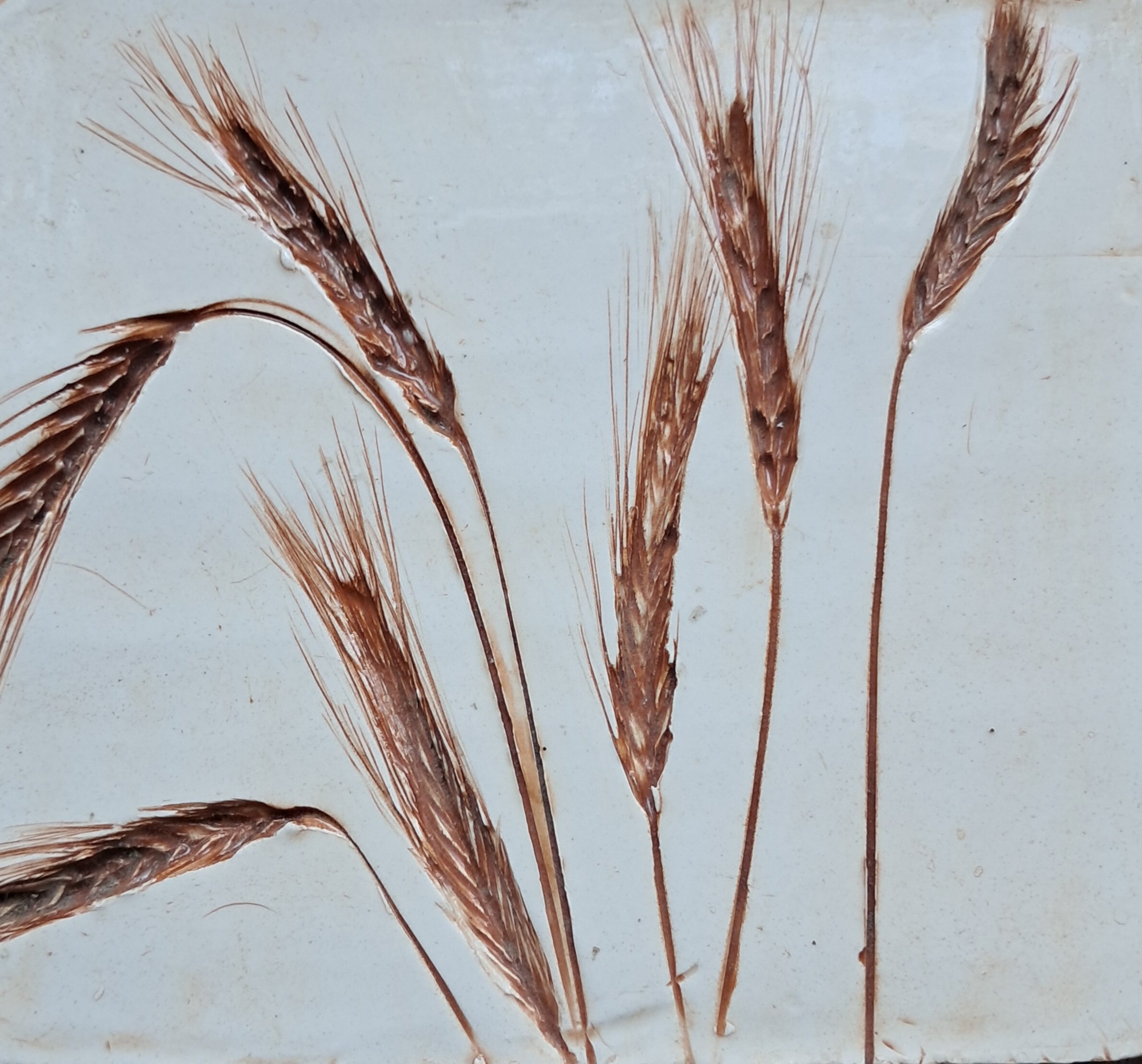 Marie-Fearfield_Into-the-Grass.jpg