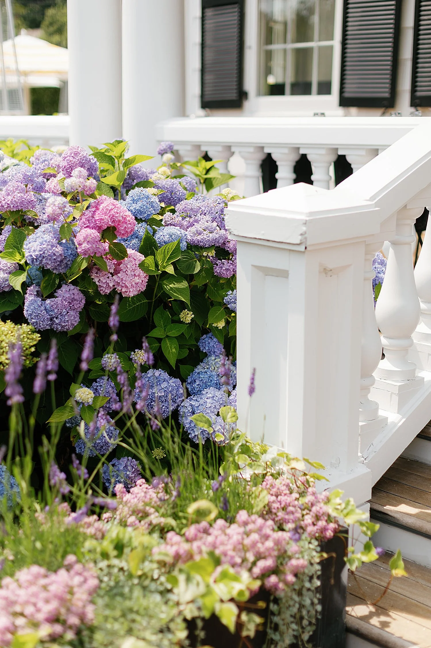  summer flowers decorate outside   
