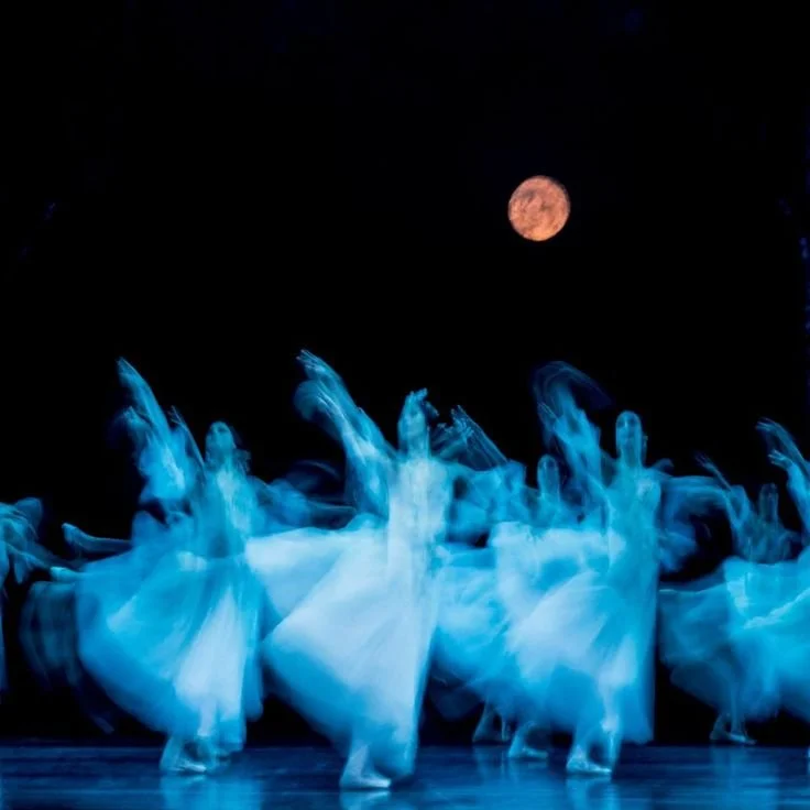 Artists of The Australian Ballet_ Photography Kate Longley.jpg