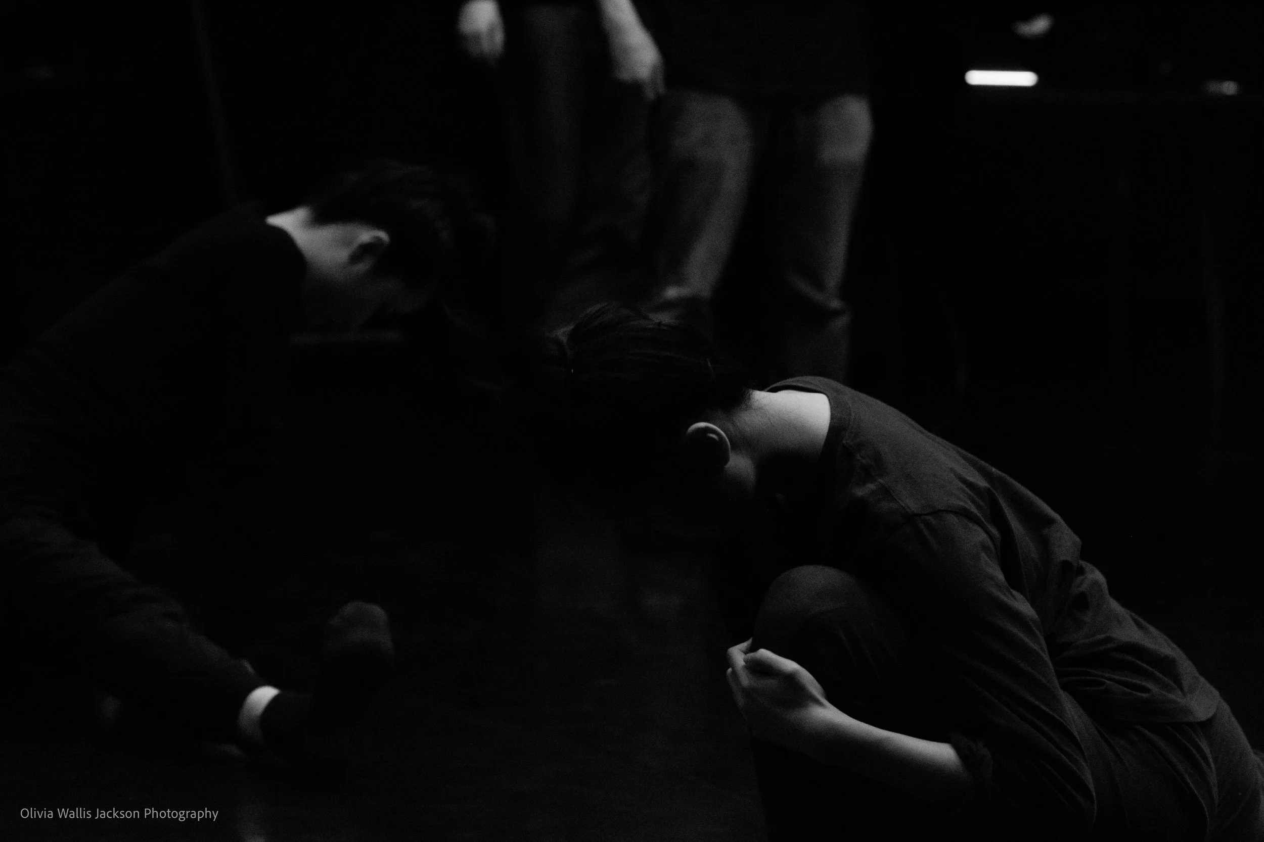 Matthew Howard-05.jpg