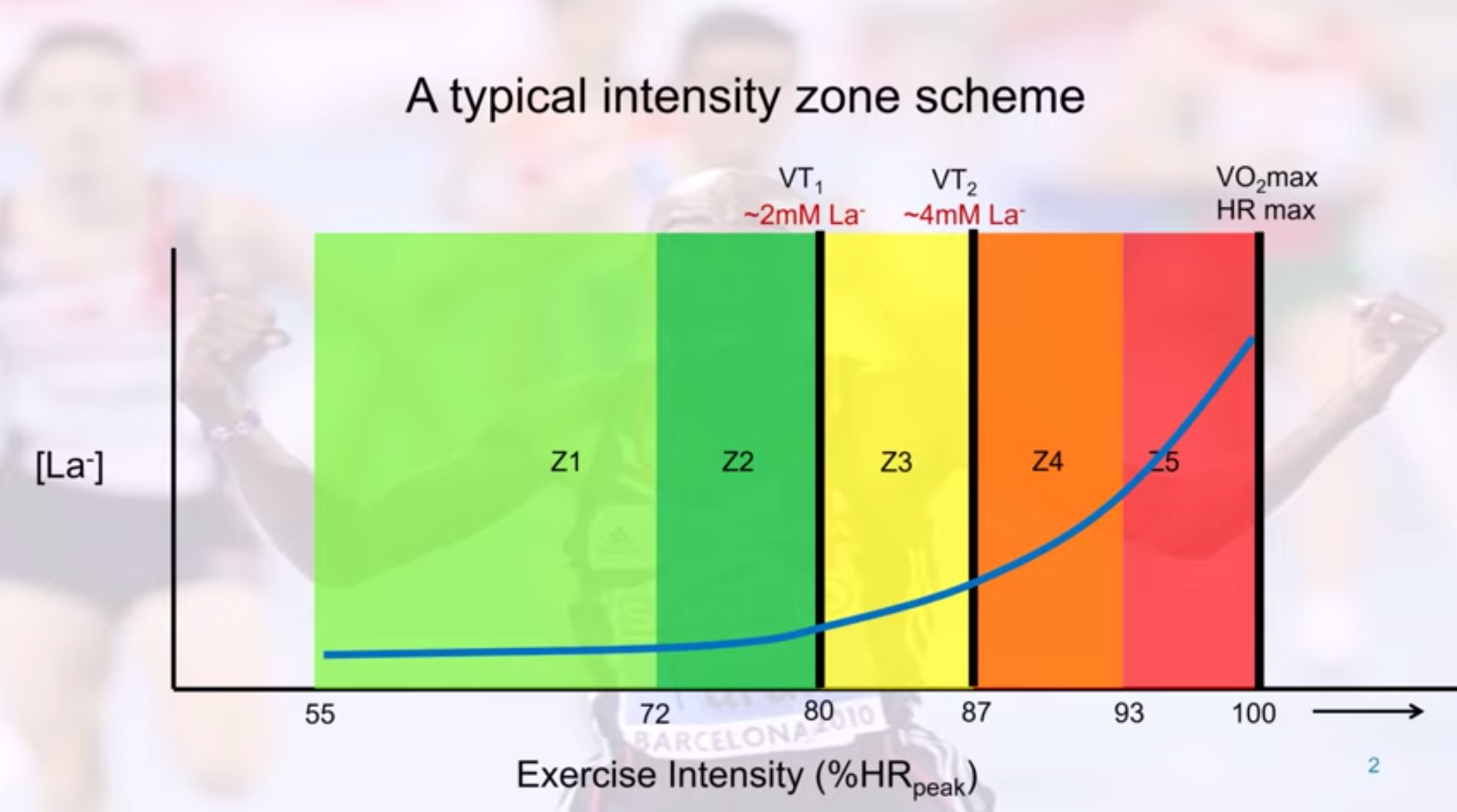 Fitness (the Basics) — Rowing Dojo