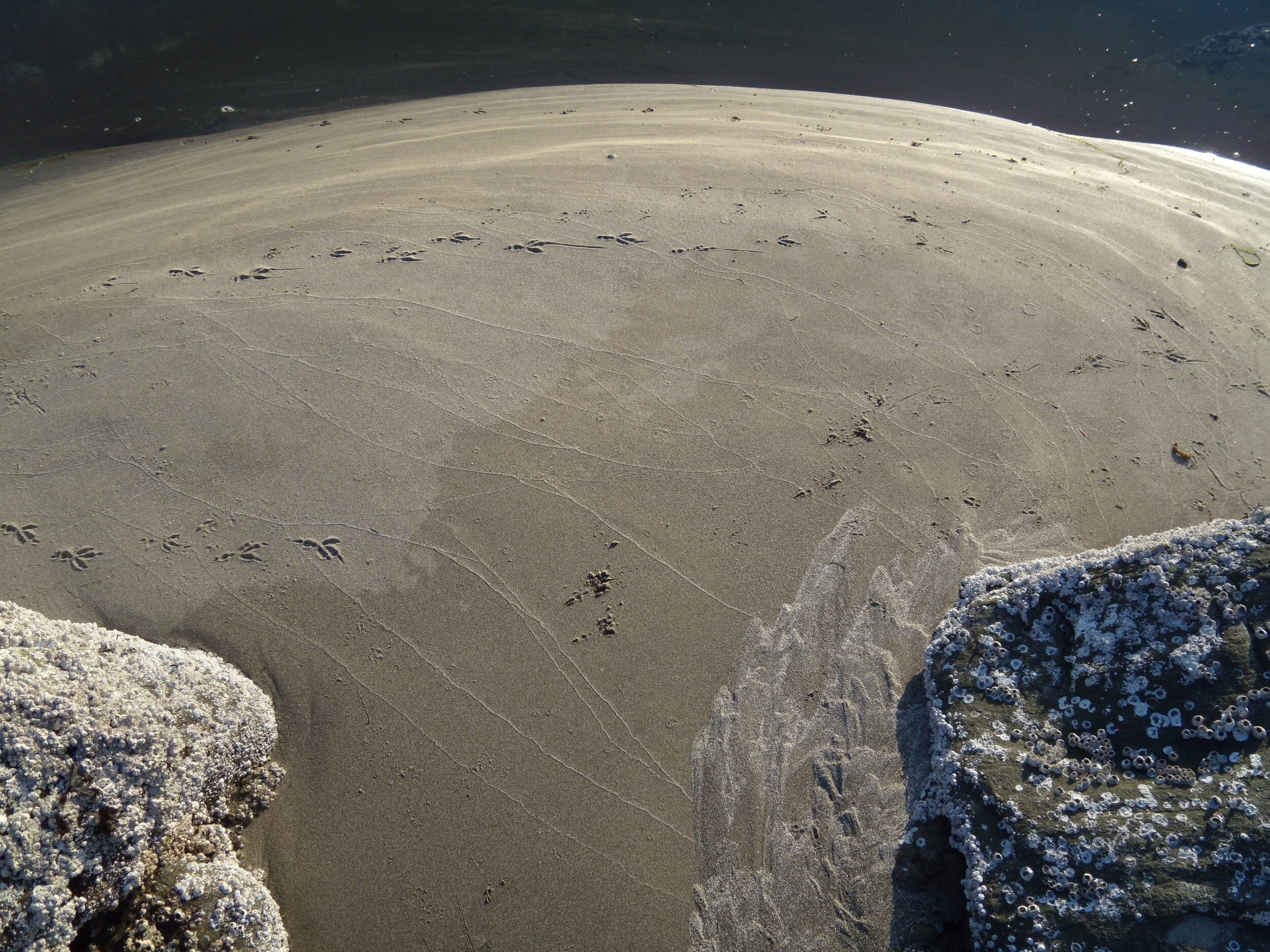 Neah Bay, Makah Reservation