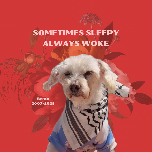 Sometimes Sleepy Always Woke 2007-2025 FINAL.PNG