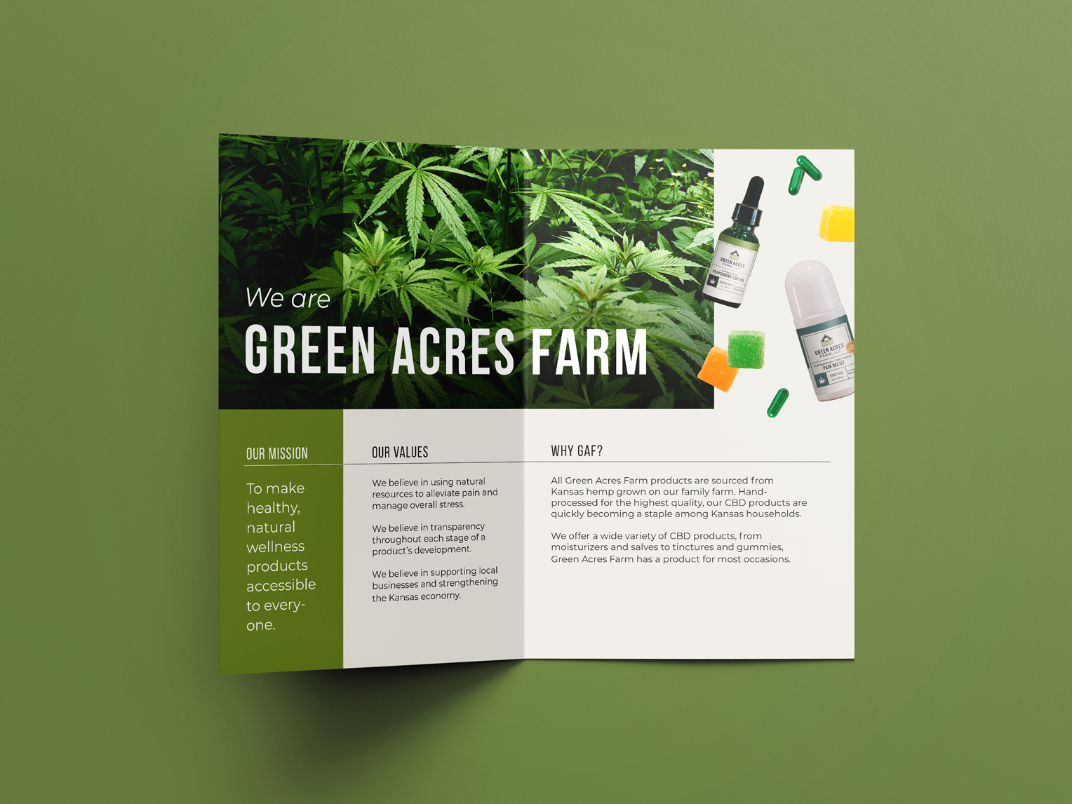 GAF_Booklet-2.png