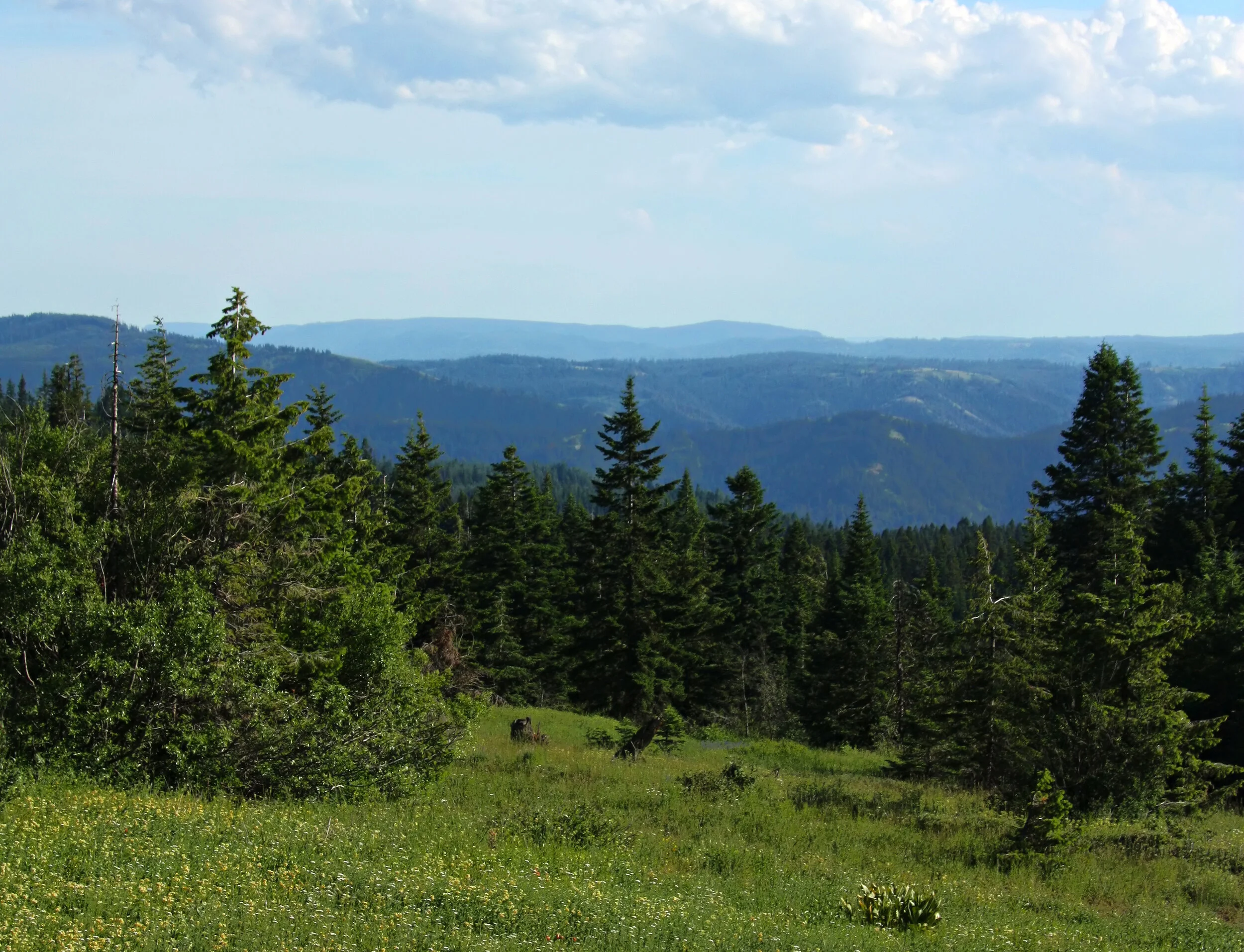 Blog Four Here — Weston Mountain Lodge