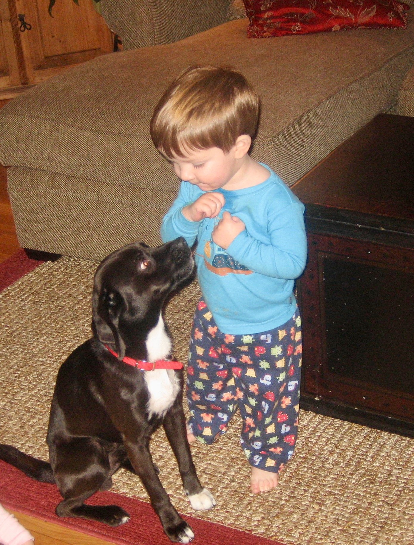 The Day We Brought Him Home