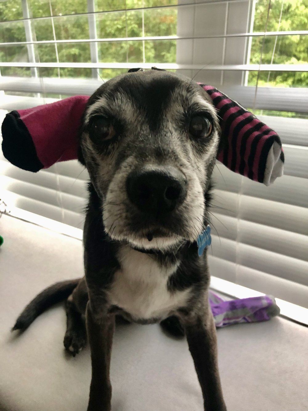 The time his ears were cold