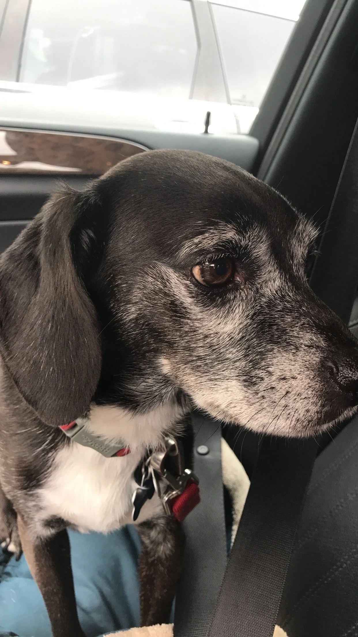 The day we drove home from NJ