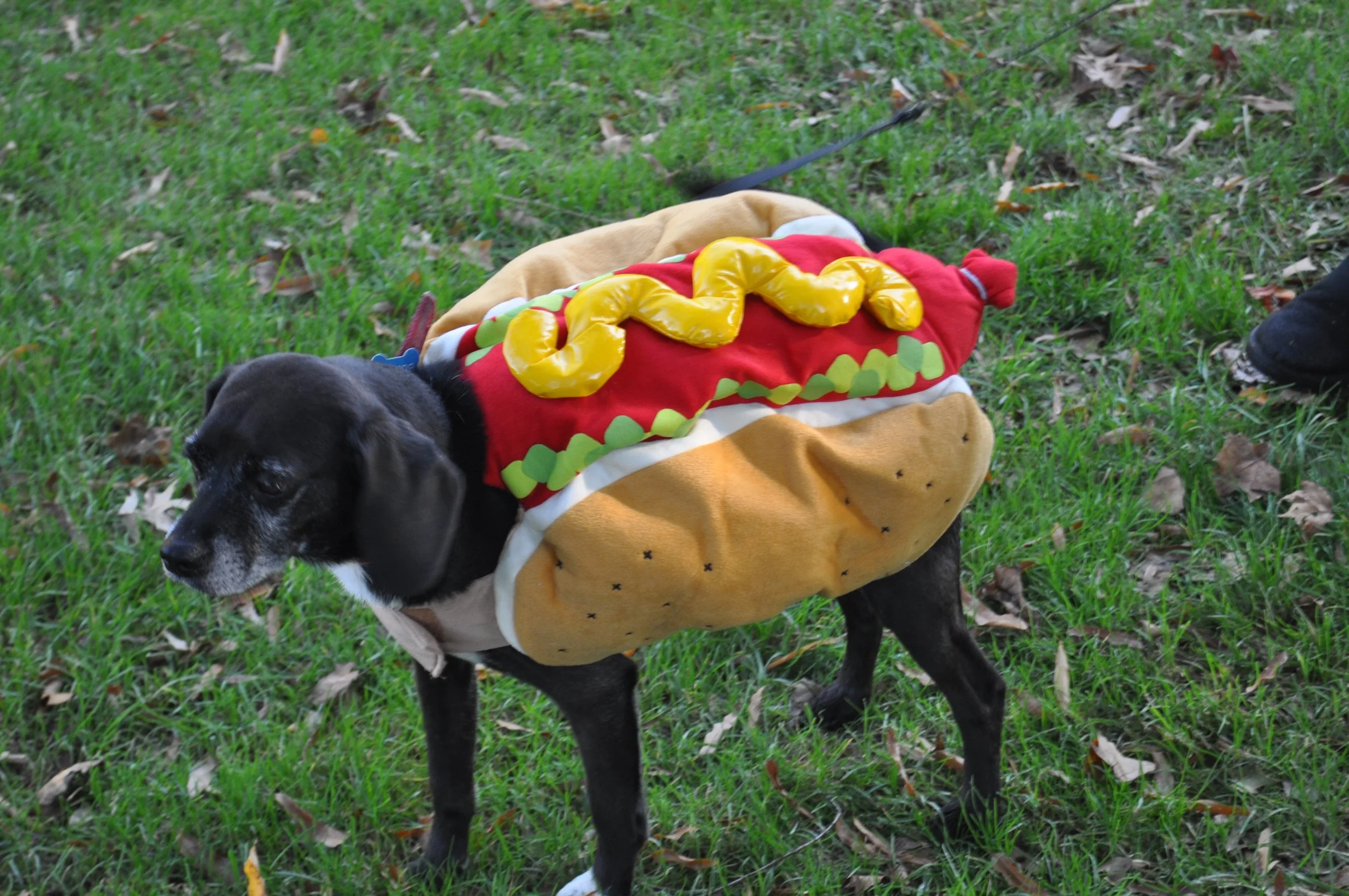 He never complains..even this day