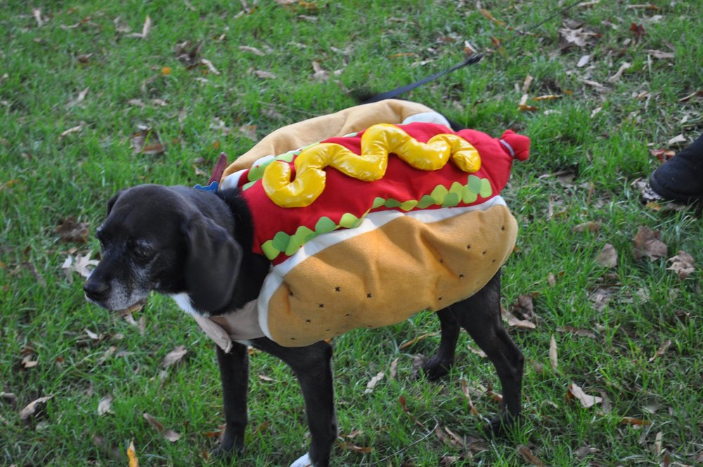 He never complains..even this day