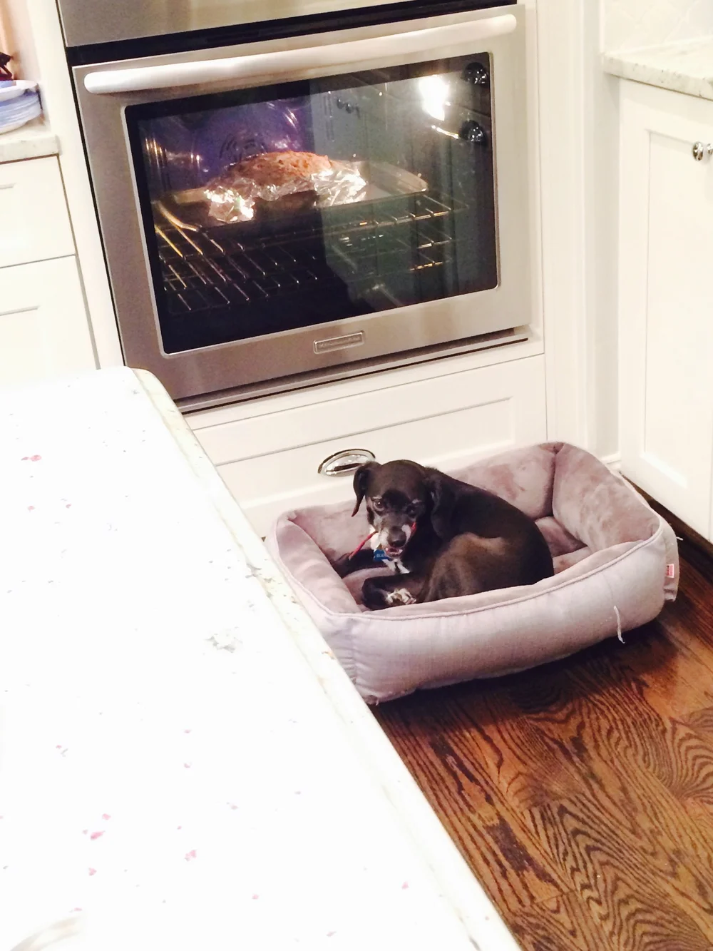 He literally sleeps anywhere it's warm