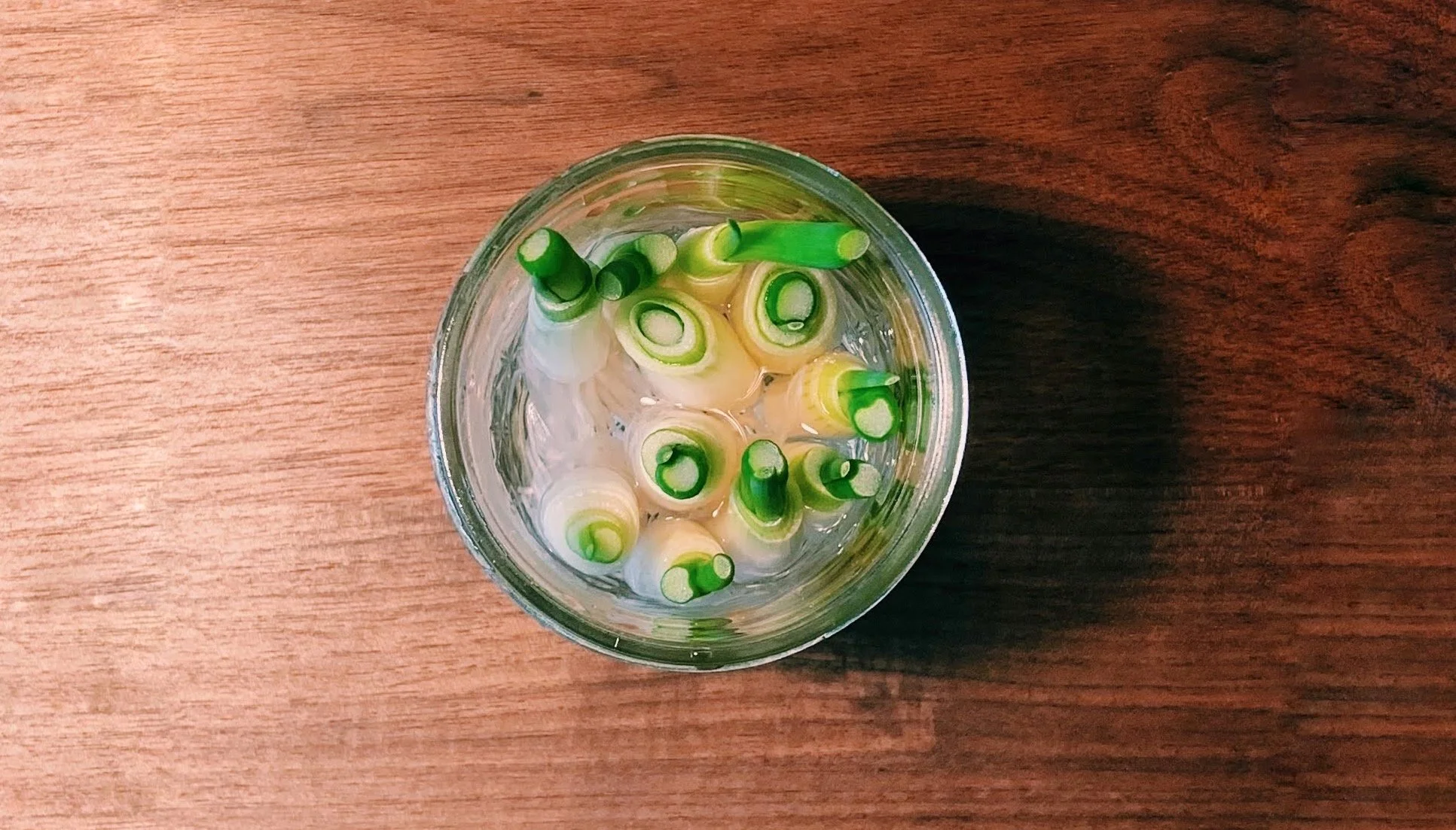 Reduce Food Waste: Simple Ideas to Help Your Wallet and the Planet