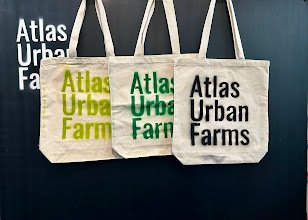 all totes.jpg