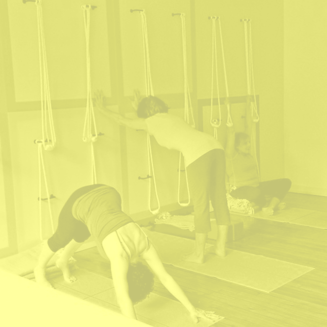 Samamkaya Yoga Back Care & Scoliosis Collective