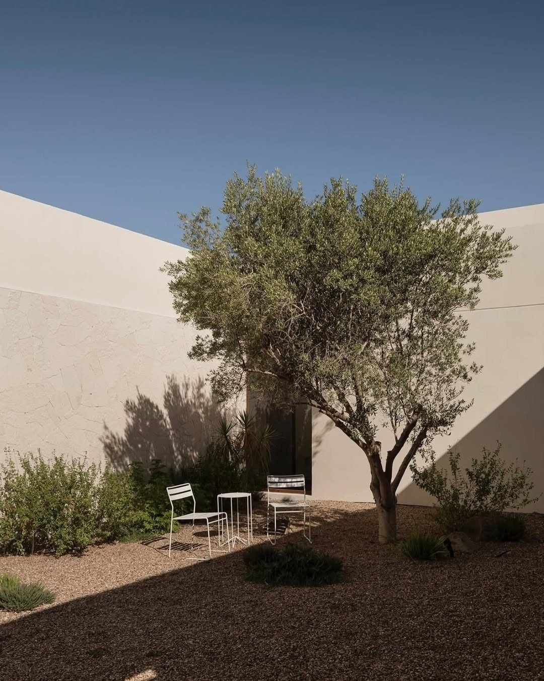 // EL Refugio // 

&quot;The house aligns with the north-south axis of the vineyard and is slightly elevated above ground level to establish a direct visual relationship with the landscape. Its program is meticulously organized to ensure that every i