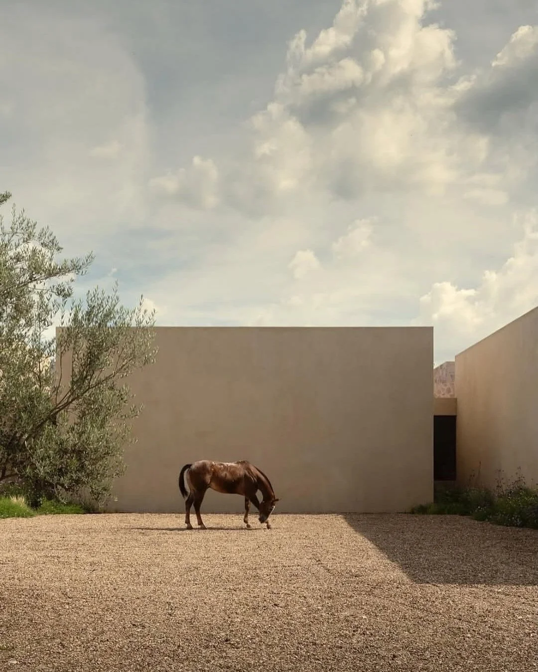 // Casa San Francisco // 
Design by: @arqjorgegaribay 
Photography by: @cesarbelio