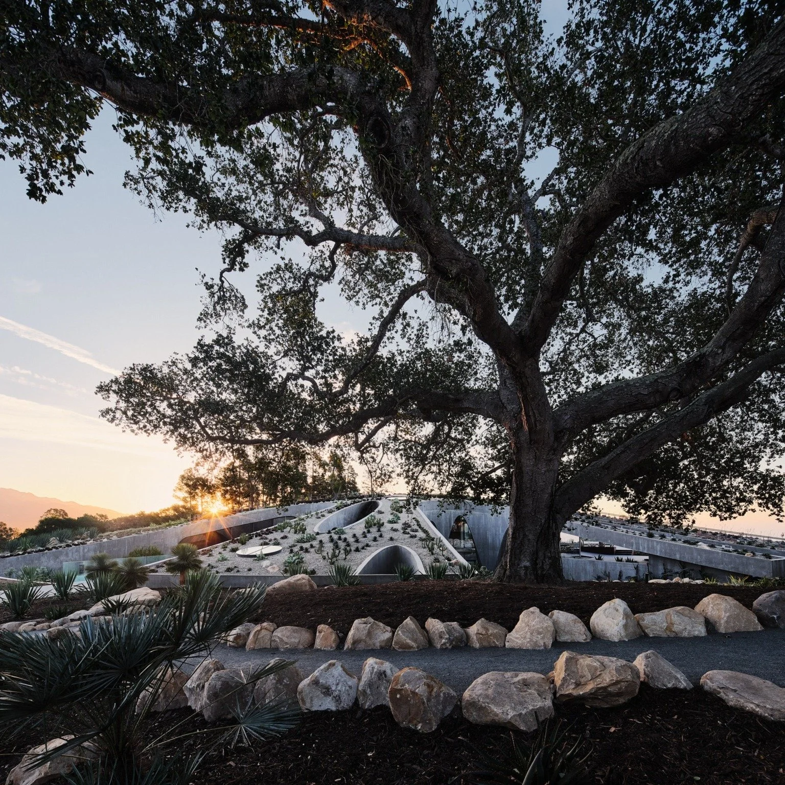 // HILL HOUSE MONTECITO // 

Looking back at Hill House Montecito: a project that continues to inspire us. Working on the interiors of this extraordinary home remains a reminder of how architecture, landscape, and design can exist in quiet harmony.🌿