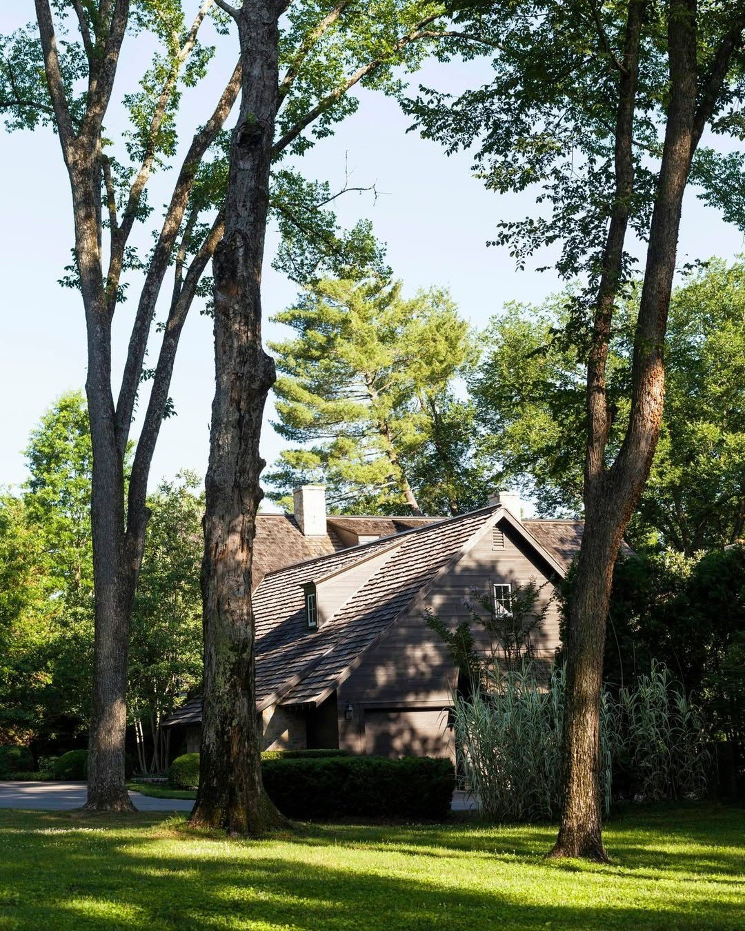 Set among trees and filtered light, this McALPINE project captures a timeless dialogue between home and nature.

"Stone that mirrors bark, rooflines that nestle beneath canopy. Architecture that resists announcement, choosing instead to belong t
