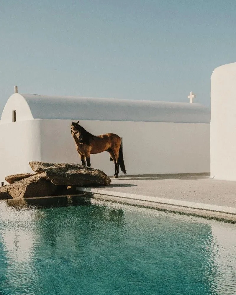 // KALESMA Hotel //

"Through the rugged Greek landscape and deep blue waters, the hotel unfolds and disperses, embracing the simplicity and authenticity of the Cyclades. The whitewashed suites and villas that make up the project are arranged pa