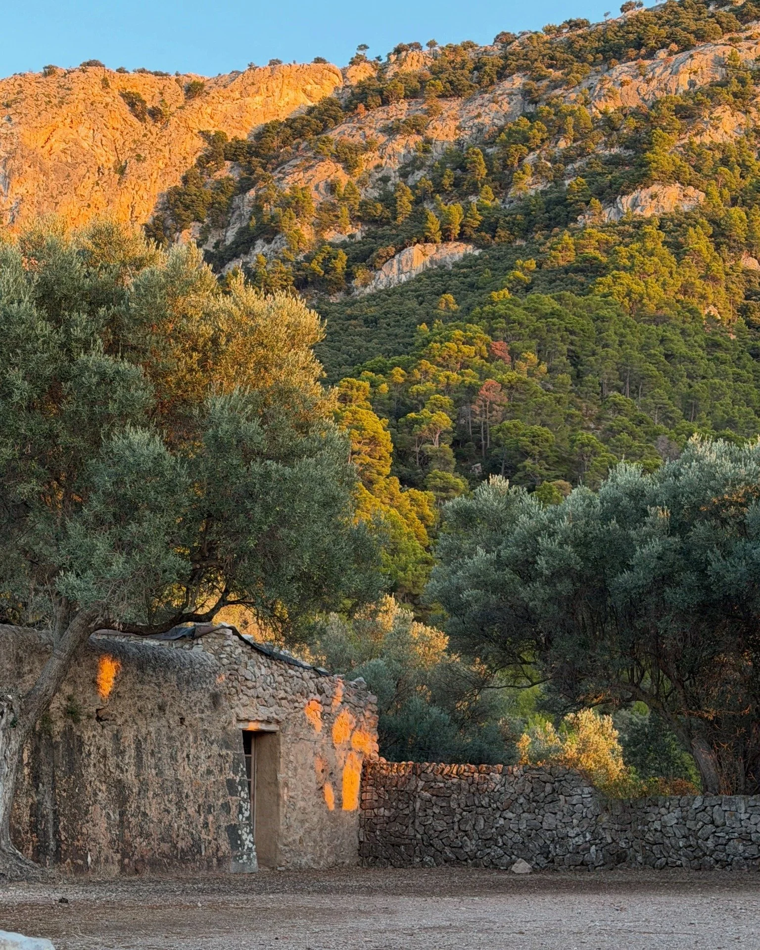 // R&uuml;tzu retreats in Mallorca // 

Warm light, raw texture, and a window framing the olive trees. Nothing more needed. 

@rutzu_mallorca