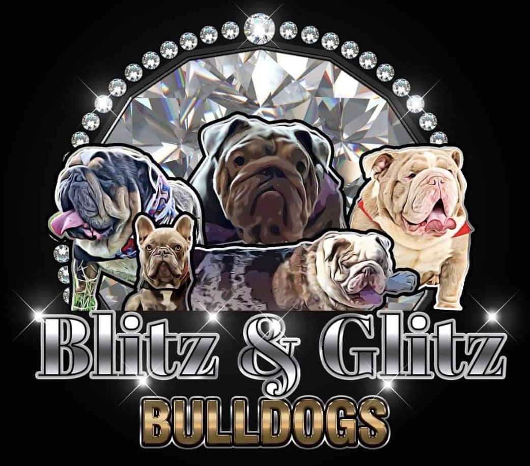 Blitz &amp; Glitz Bulldogs, LLC