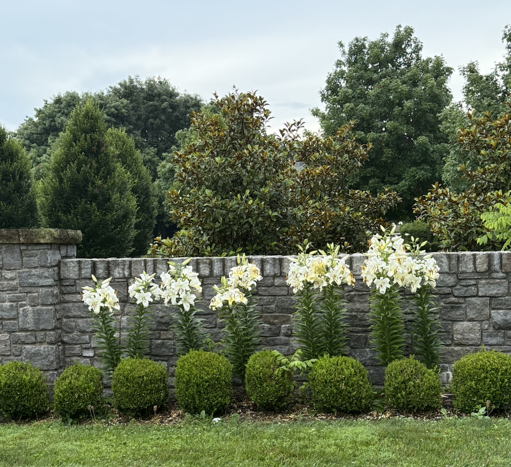 Image 3-4-26 at 6.16 PM.png