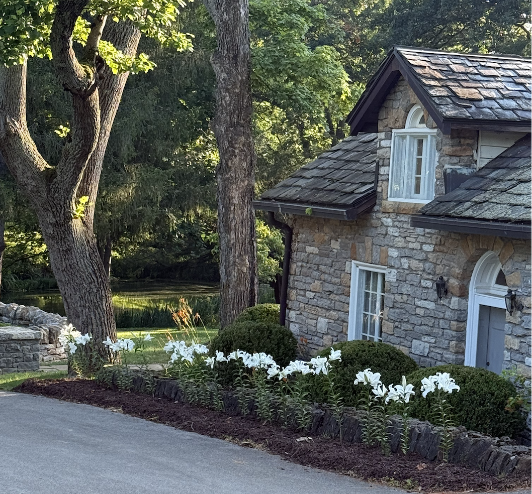 Image 3-4-26 at 6.16 PM.png