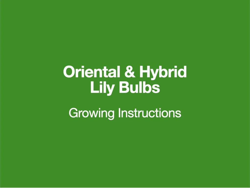 For Squarespace - 2 Growing Instructions image.004.jpeg