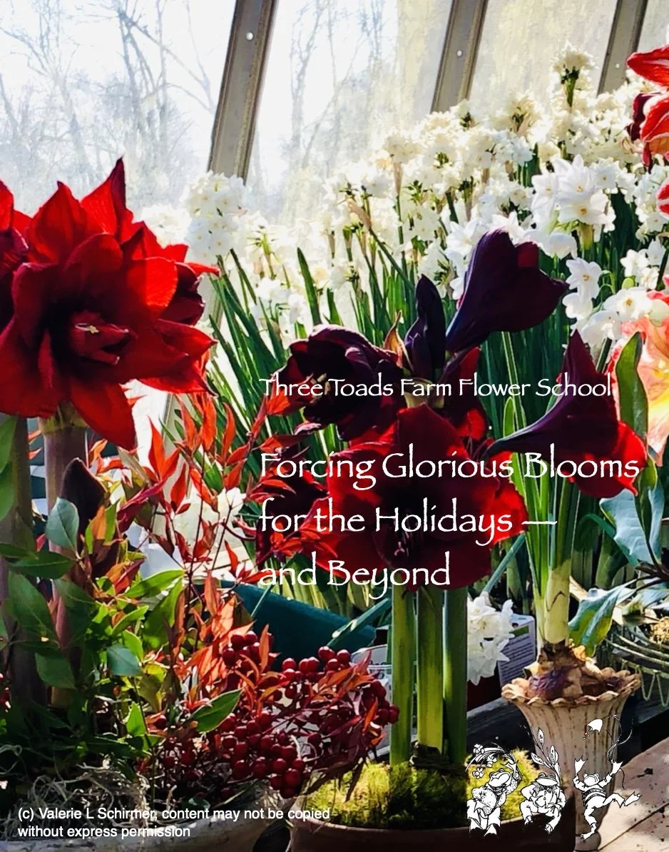 Flower School notebook cover.jpg